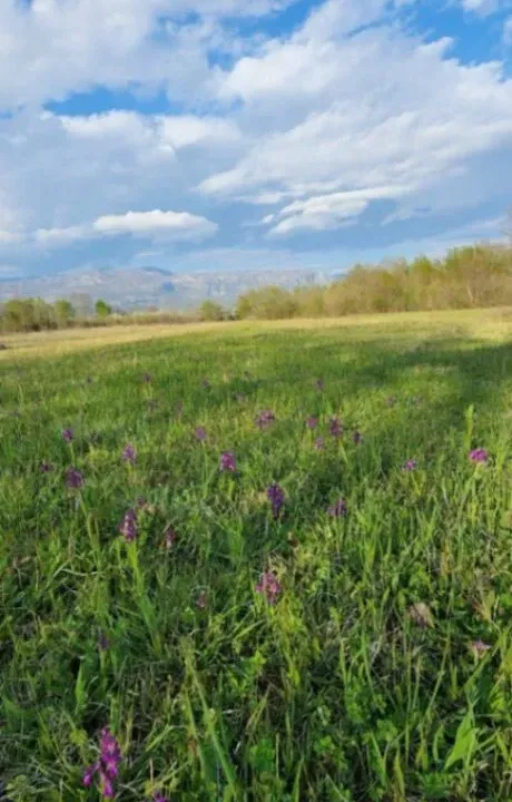 Prodaja, plac, 5554m², Jastreb, Danilovgrad