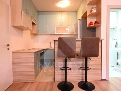 Izdavanje, garsonjera, 28m², 1 maj, Podgorica - image 4