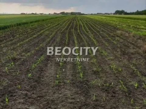 Sale, land lot, 29m², Ovča, Palilula Sve Podlokacije - image 13