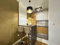 Izdavanje, jednosoban stan, 50m², Central Point, Podgorica - image 3