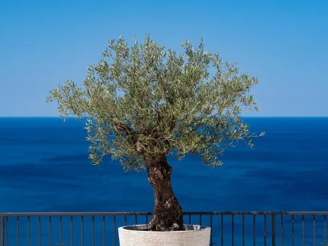 Prodaja, kuća, 374m², Drobni pijesak, Budva - image 38