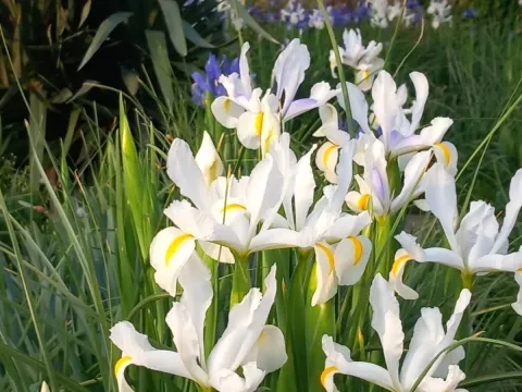 Prodaja, kuća, 138m², Podgorica, Crna Gora - image 4