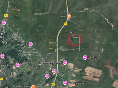 Prodaja, plac, 2900m², Motički gaj, Žabljak - image 4