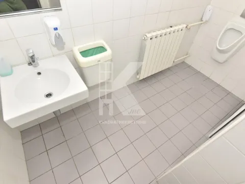 Izdavanje, poslovni prostor, 318m², Preko Morače, Podgorica - image 10