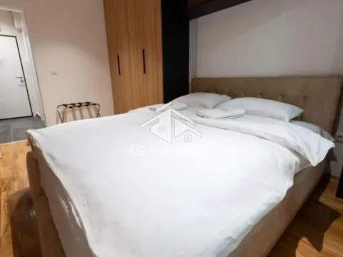 Izdavanje, dvosoban stan, 55m², Južni Bulevar, Vračar Sve Podlokacije - image 13