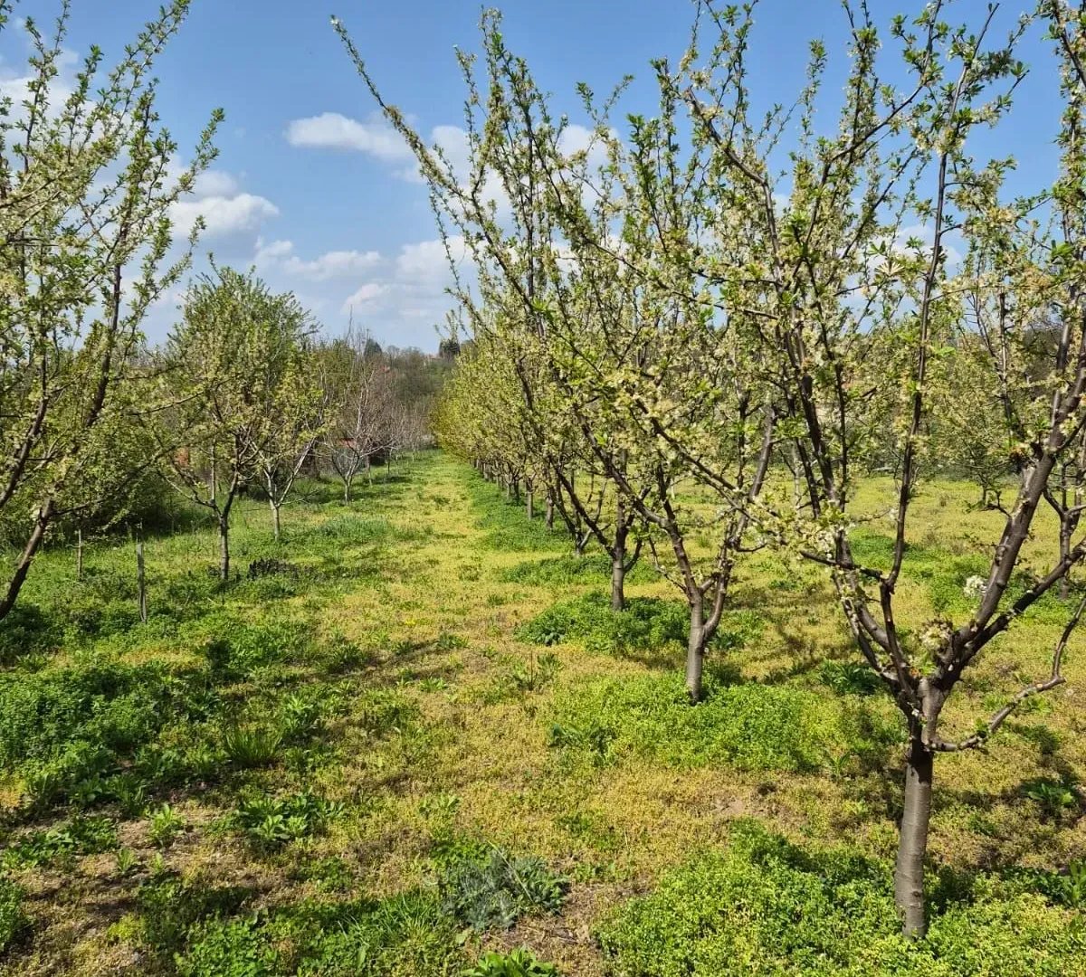 Prodaja, plac, 2950m², Voždovac Sve Podlokacije, Beograd