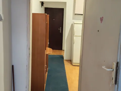 Izdavanje, dvosoban stan, 40m², Čukarica, Beograd - image 4