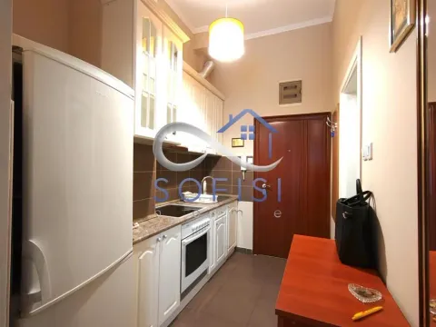 Izdavanje, jednosoban stan, 35m², Liman 3, Novi Sad Sve Podlokacije - image 9