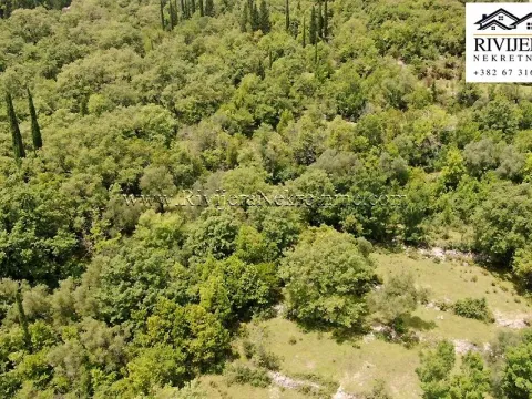 Prodaja, plac, 7325m², Mojdež, Herceg Novi - image 7