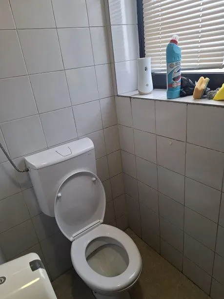 Rent, office space, 100m², Botanička Bašta, Palilula Sve Podlokacije