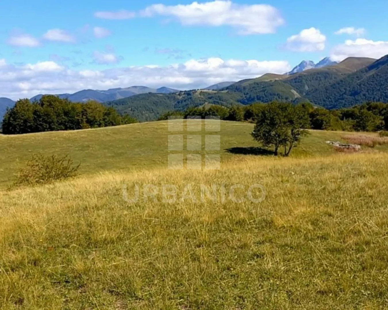 Prodaja, plac, 400000m², Veruša, Podgorica