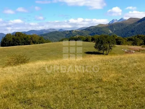 Prodaja, plac, 400000m², Veruša, Podgorica - image 2