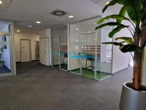 Izdavanje, poslovni prostor, 1310m², Novi Beograd Sve Podlokacije, Beograd - image 14