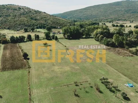 Prodaja, plac, 9600m², Danilovgrad, Crna Gora - image 3