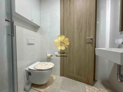 Izdavanje, garsonjera, 30m², Master Kvart, Podgorica - image 7