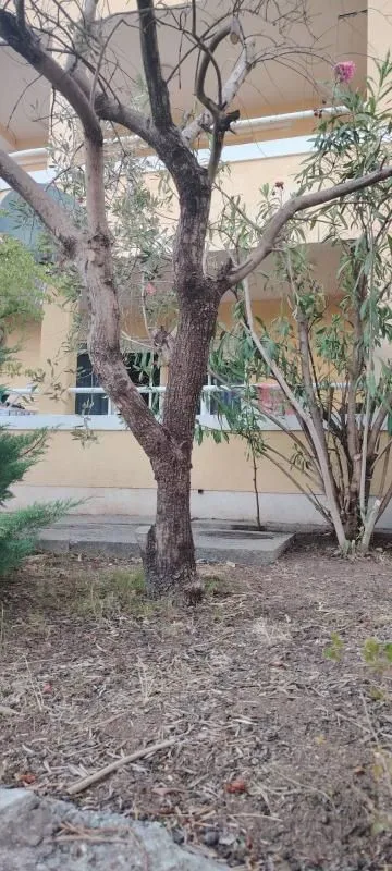 Prodaja, jednosoban stan, 49m², Petrovac, Budva