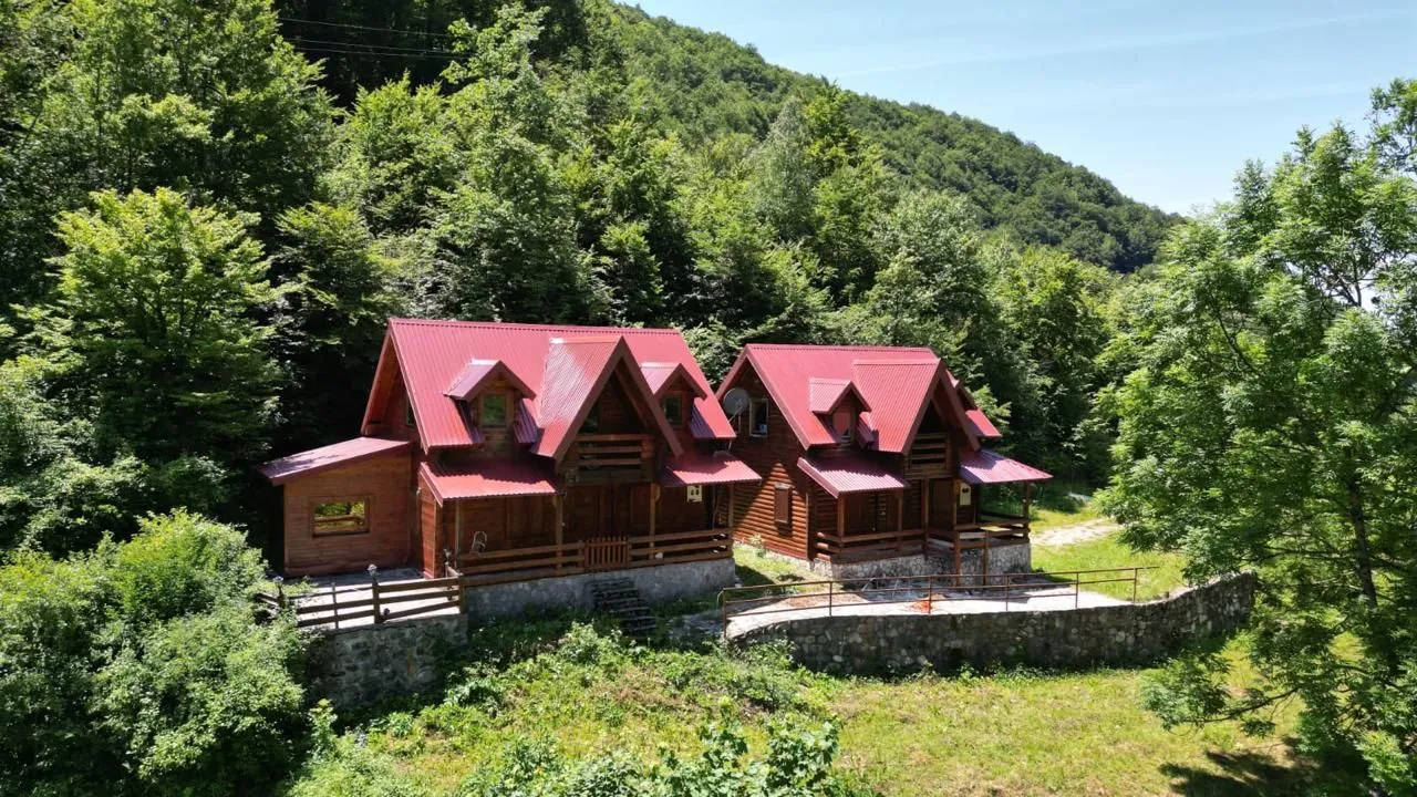 Pogled na drvene vikendice sa crvenim krovom okružene šumom.