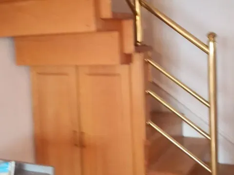 Prodaja, kuća, 250m², Zemun Sve Podlokacije, Beograd - image 14