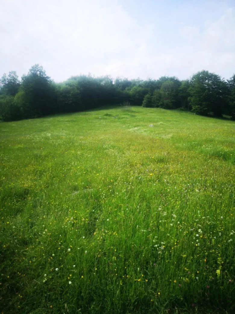 Prodaja, plac, 1708m², Pošćenski Kraj, Žabljak