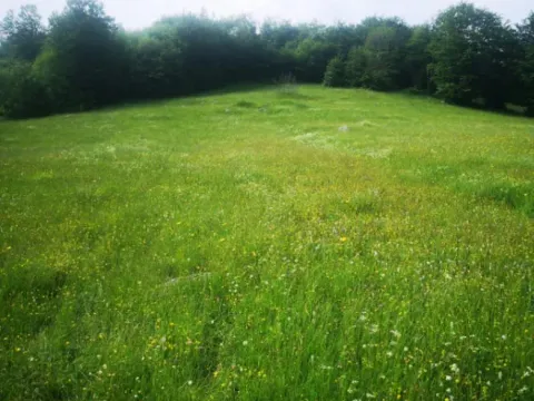 Sale, land lot, 1708m², Pošćenski Kraj, Žabljak - image 2