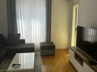 Izdavanje, jednosoban stan, 48m², Zabjelo, Podgorica - image 1