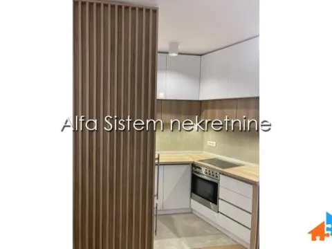 Izdavanje, dvosoban stan, 52m², Južni Bulevar, Vračar Sve Podlokacije - image 7