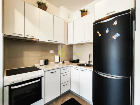 Izdavanje, jednosoban stan, 48m², Vezirov Most, Podgorica - image 4