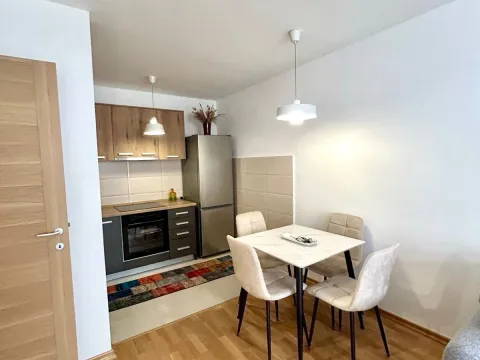 Rent, one bedroom apartment, 45m², Stari Aerodrom, Podgorica - image 4