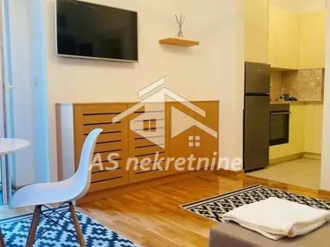 Izdavanje, dvosoban stan, 43m², Botanička Bašta, Palilula Sve Podlokacije - image 5