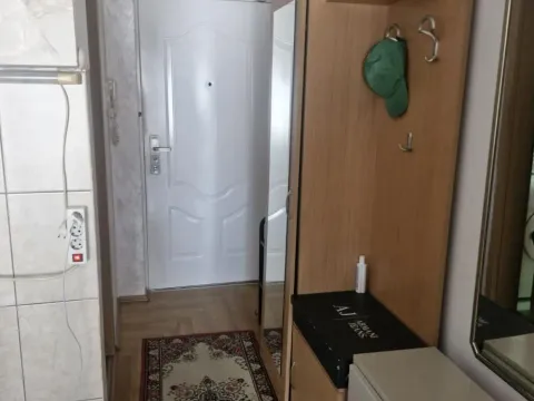 Rent, apartment, 24m², Krnjaca, Palilula Sve Podlokacije - image 6