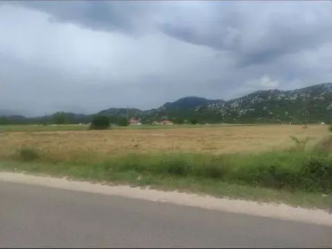 Prodaja, plac, 2000m², Grahovo, Nikšić - image 3