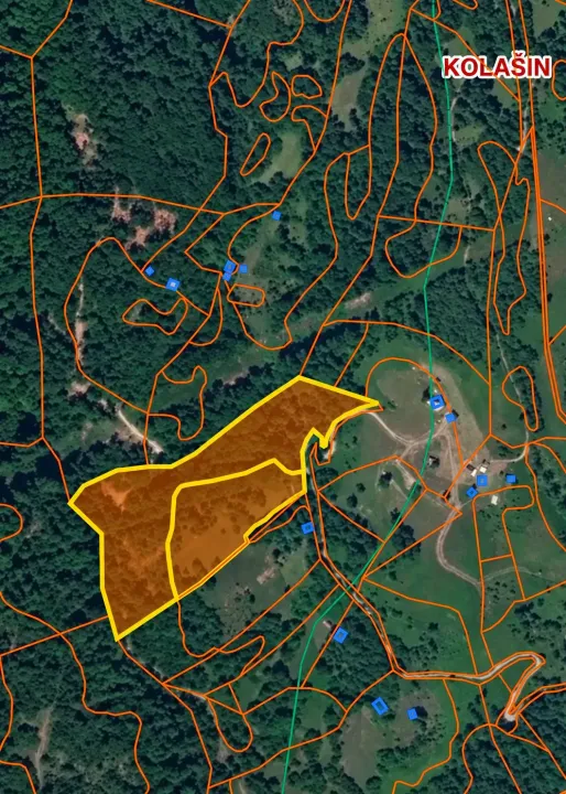 Prodaja, plac, 31000m², Smrčje, Kolašin