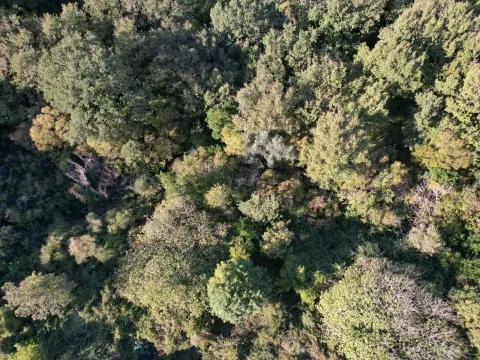 Prodaja, plac, 511m², Reževići, Budva - image 3