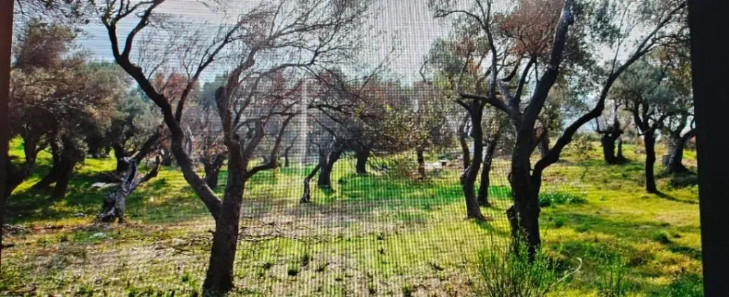 Prodaja, plac, 1208m², Budva, Crna Gora