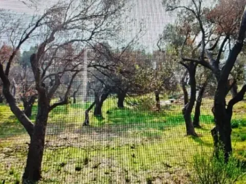 Prodaja, plac, 1208m², Budva, Crna Gora - image 2