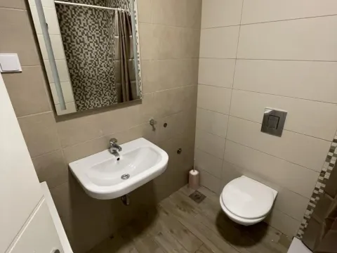 Rent, two bedroom apartment, 40m², Podbara, Novi Sad Sve Podlokacije - image 11