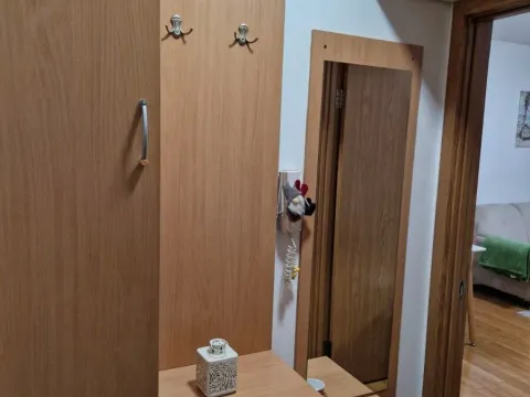 Rent, one bedroom apartment, 40m², Zabjelo, Podgorica - image 7