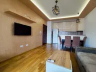 Izdavanje, jednosoban stan, 48m², Tuški Put, Podgorica - image 1