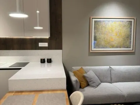 Rent, two bedroom apartment, 46m², Lekino Brdo, Voždovac Sve Podlokacije - image 5