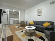 Izdavanje, jednosoban stan, 46m², Stari Aerodrom, Podgorica - image 2