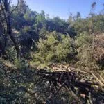 Prodaja, plac, 1290m², Kotor, Crna Gora - image 7