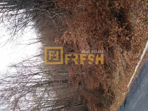 Sale, land lot, 500m², Ostalo, Podgorica - image 4