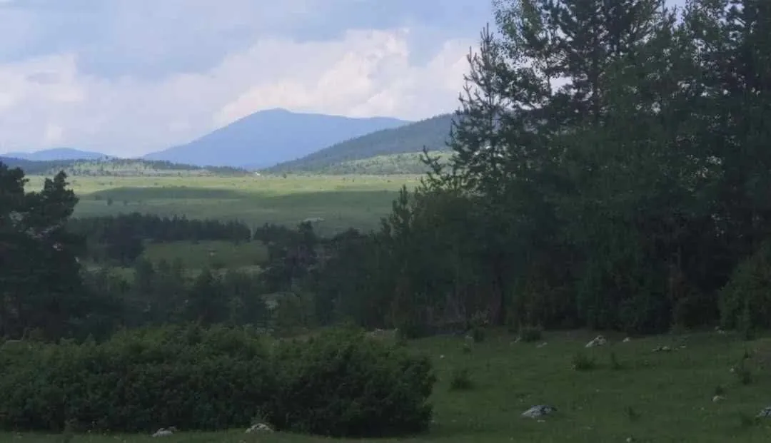 Prodaja, plac, 17000m², Žabljak, Crna Gora