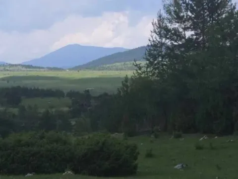 Prodaja, plac, 17000m², Žabljak, Crna Gora - image 8