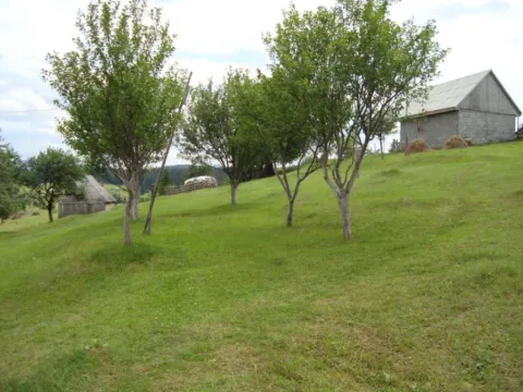 Sale, land lot, 105000m², Mijakovići, Pljevlja - image 3