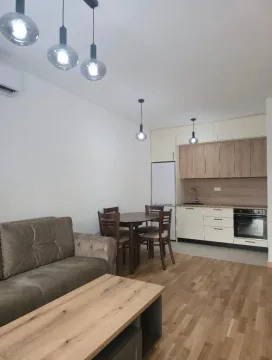 Izdavanje, jednosoban stan, 41m², Tološi, Podgorica - image 8