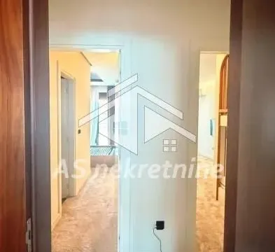 Rent, four bedroom apartment, 275m², Vračar Hram, Vračar Sve Podlokacije - image 26