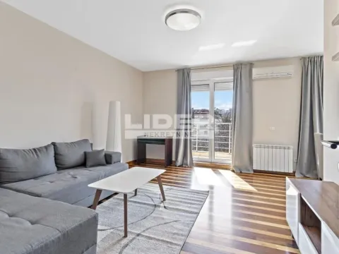 Izdavanje, dvosoban stan, 64m², Savski Venac, Beograd - image 10