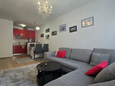 Izdavanje, jednosoban stan, 46m², City Kvart, Podgorica - image 2