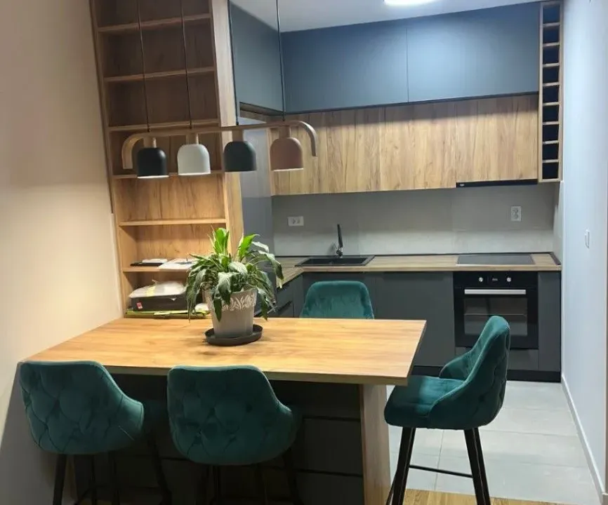 Izdavanje, jednosoban stan, 47m², Zabjelo, Podgorica